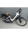 Eleglide T1 Step Through Electric Bike