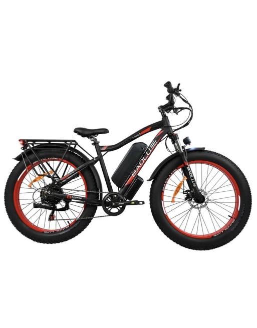 Baloujie 750 Fat Tyre Electric Bike