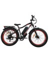 Baloujie 750 Fat Tyre Electric Bike