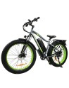 Baloujie 750 Fat Tyre Electric Bike