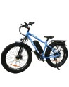 Baloujie 750 Fat Tyre Electric Bike