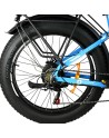 Baloujie 750 Fat Tyre Electric Bike