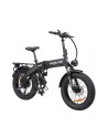 Baloujie EV20 Folding Electric Fat Bike